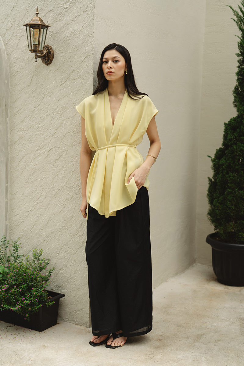 Pleated Wide Leg Pants In Black